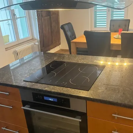 Apartment Neu Renovierte Grosse In Der Stadt