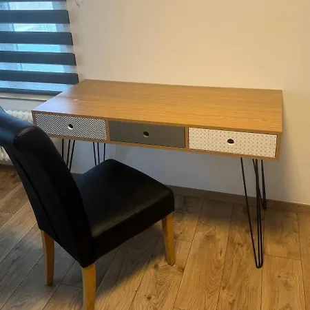 Apartment Neu Renovierte Grosse In Der Stadt Bern